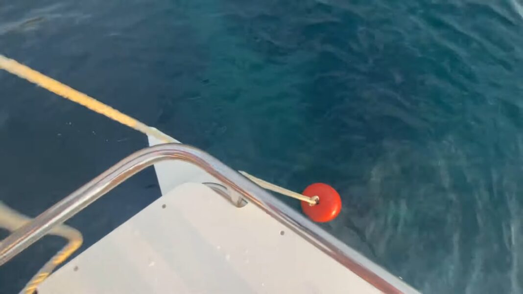 Mooring Buoys 101 Exploring Types and Their Practical Usage Utah Pulse