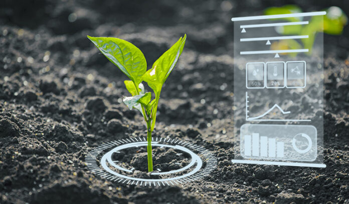 Artificial Intelligence in small farms